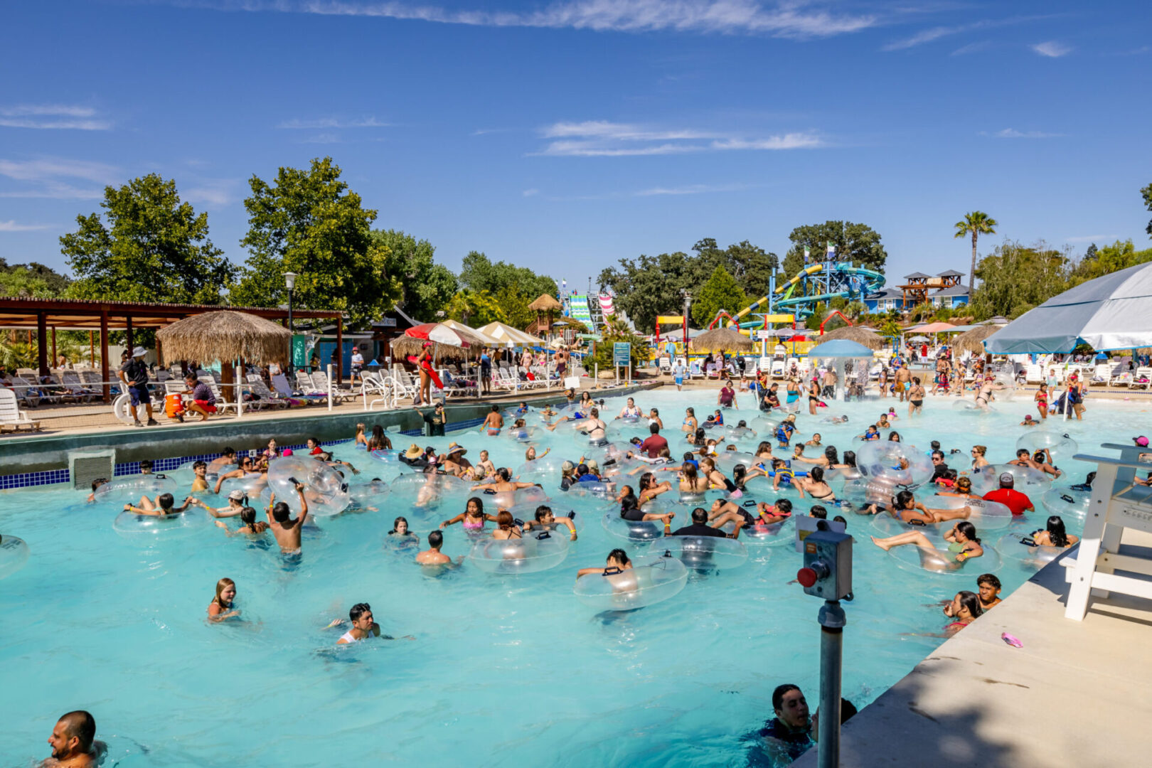 People swimming under a clear blue sky.